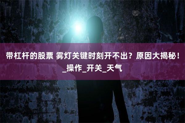 带杠杆的股票 雾灯关键时刻开不出？原因大揭秘！_操作_开关_天气