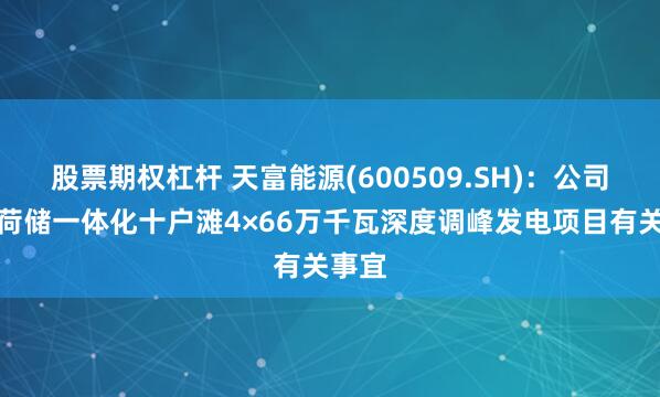 股票期权杠杆 天富能源(600509.SH)：公司源网荷储一体化十户滩4×66万千瓦深度调峰发电项目有关事宜