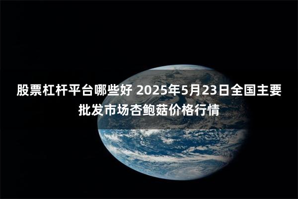 股票杠杆平台哪些好 2025年5月23日全国主要批发市场杏鲍菇价格行情