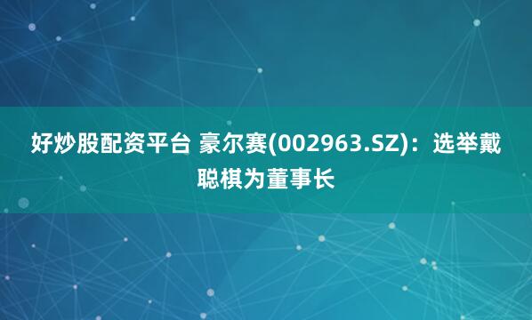 好炒股配资平台 豪尔赛(002963.SZ)：选举戴聪棋为董事长