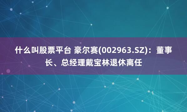 什么叫股票平台 豪尔赛(002963.SZ)：董事长、总经理戴宝林退休离任