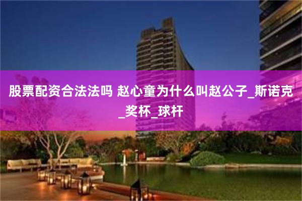 股票配资合法法吗 赵心童为什么叫赵公子_斯诺克_奖杯_球杆