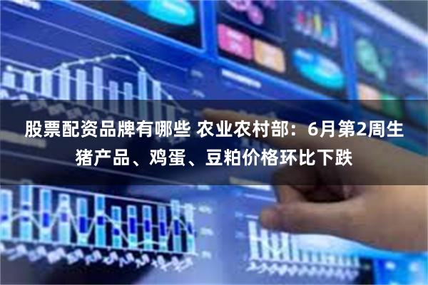 股票配资品牌有哪些 农业农村部：6月第2周生猪产品、鸡蛋、豆粕价格环比下跌